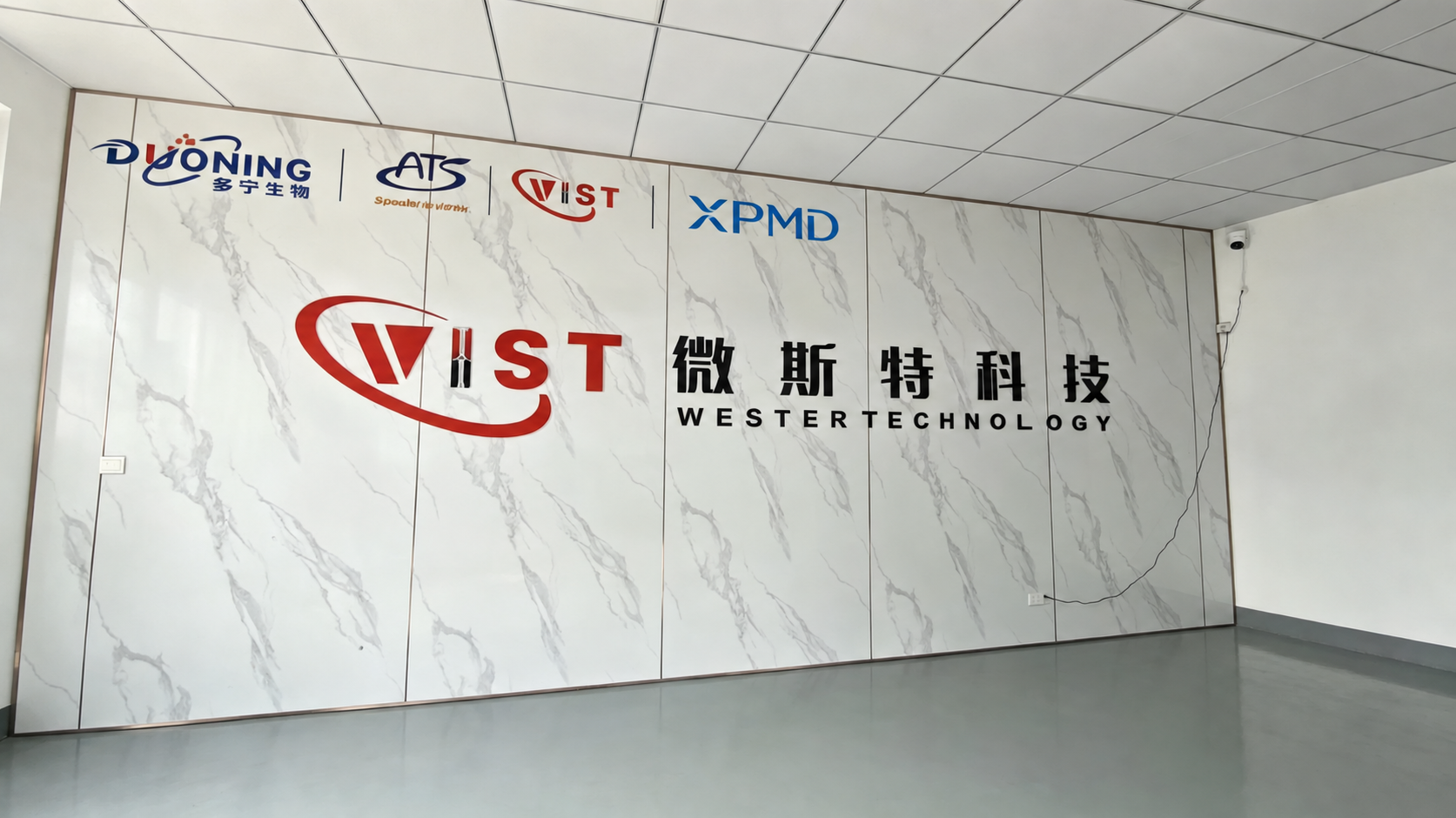 wst & xpmd